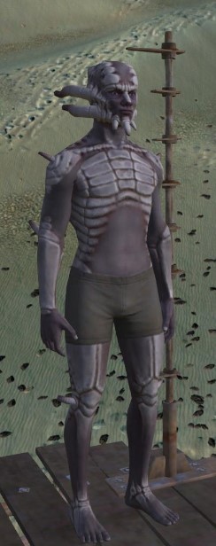 f:id:kuro3go:20220313052450j:plain