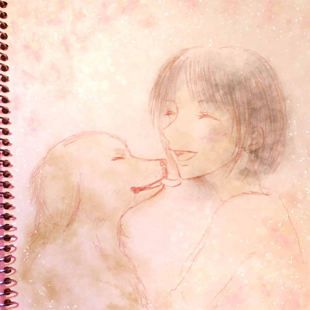 f:id:kuro_1021:20170403232544j:plain