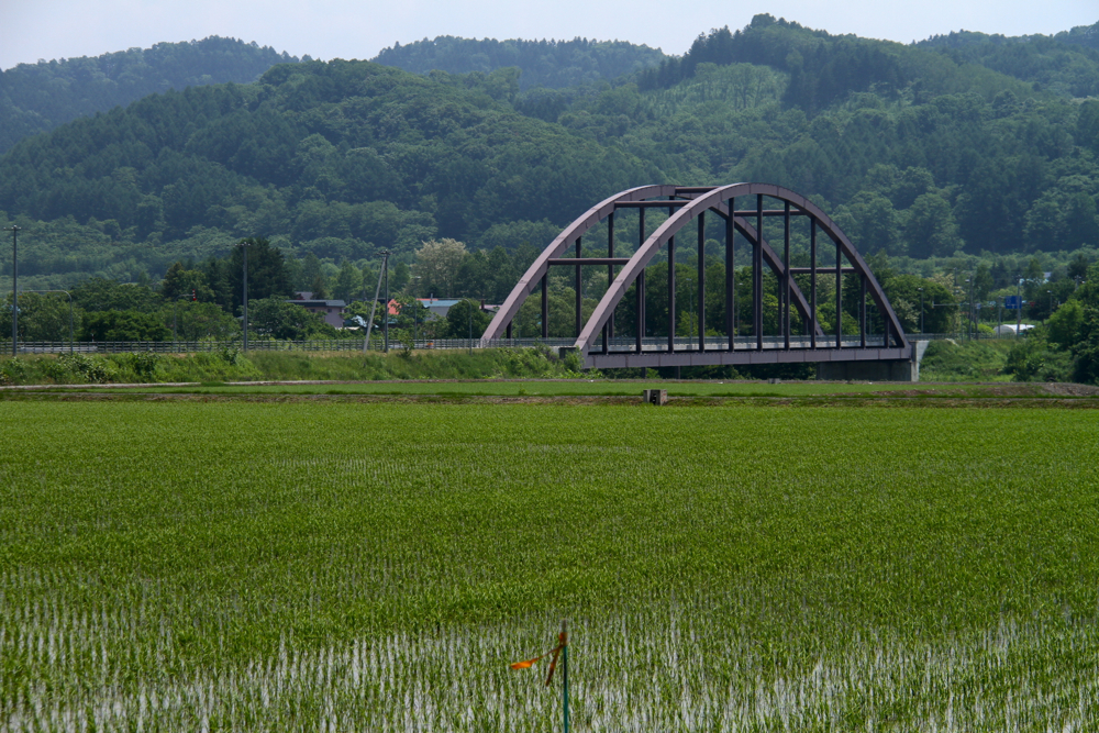 f:id:kuroandy:20150616115217j:plain f:id:kuroandy:20150616115217j:plain