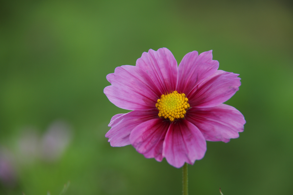 f:id:kuroandy:20150922055134j:plain f:id:kuroandy:20150922055134j:plain
