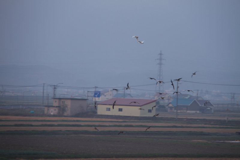 f:id:kuroandy:20151018060834j:plain f:id:kuroandy:20151018060834j:plain