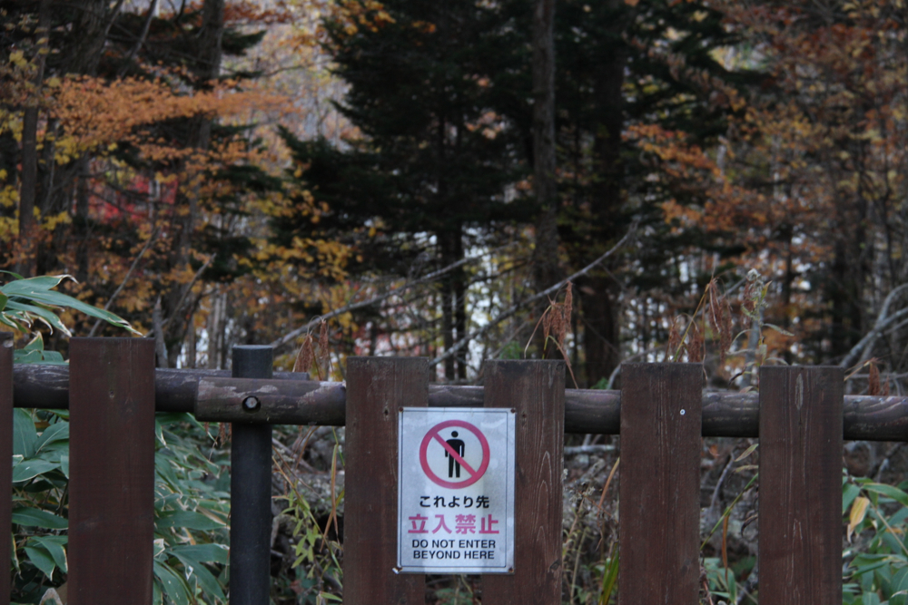 f:id:kuroandy:20151023163737j:plain f:id:kuroandy:20151023163737j:plain