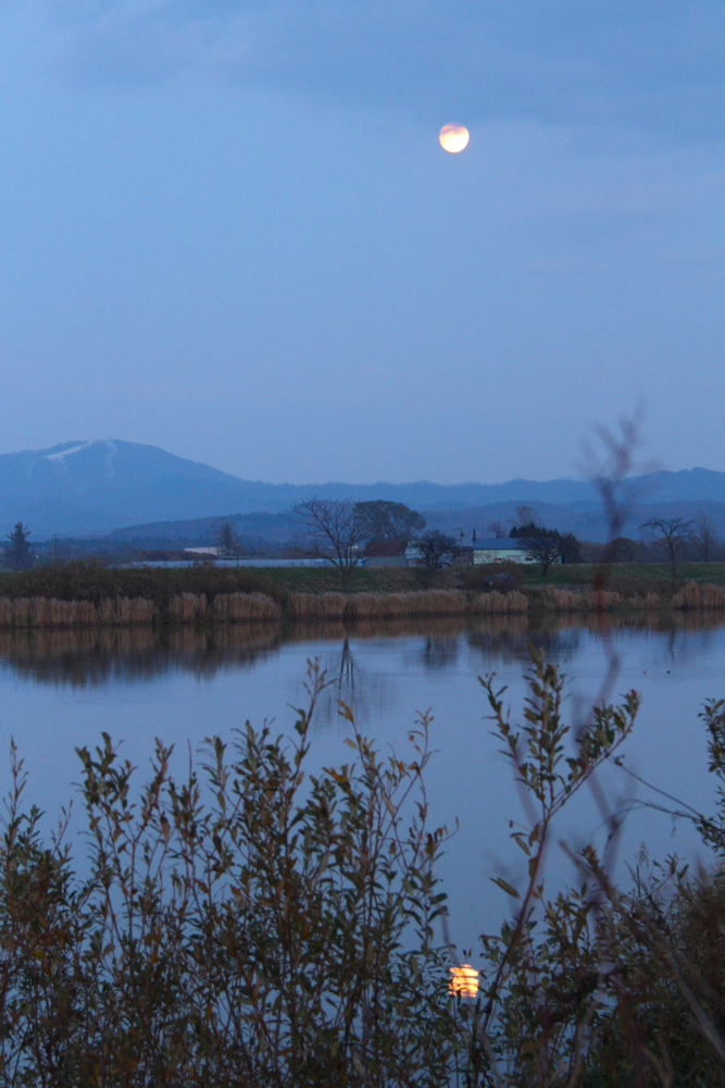 f:id:kuroandy:20151026164816j:plain f:id:kuroandy:20151026164816j:plain