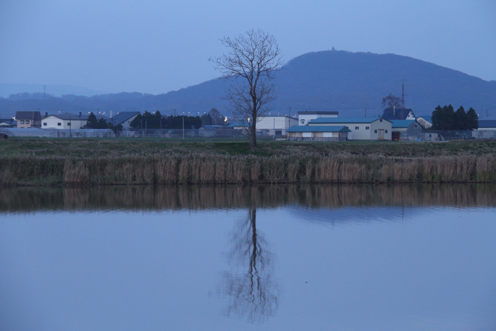 f:id:kuroandy:20151026164936j:plain f:id:kuroandy:20151026164936j:plain