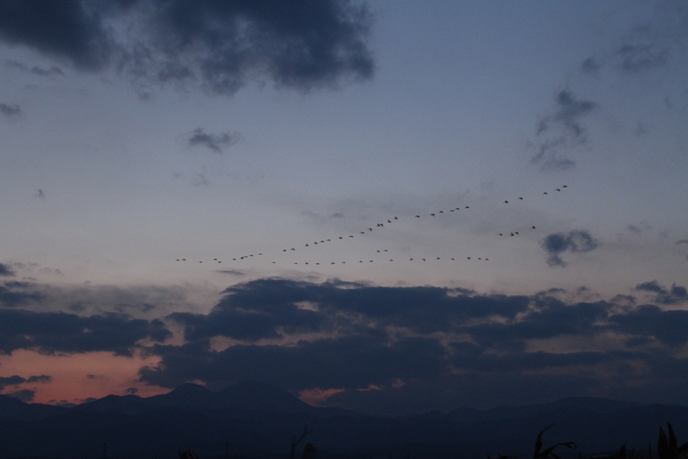 f:id:kuroandy:20151026165543j:plain f:id:kuroandy:20151026165543j:plain