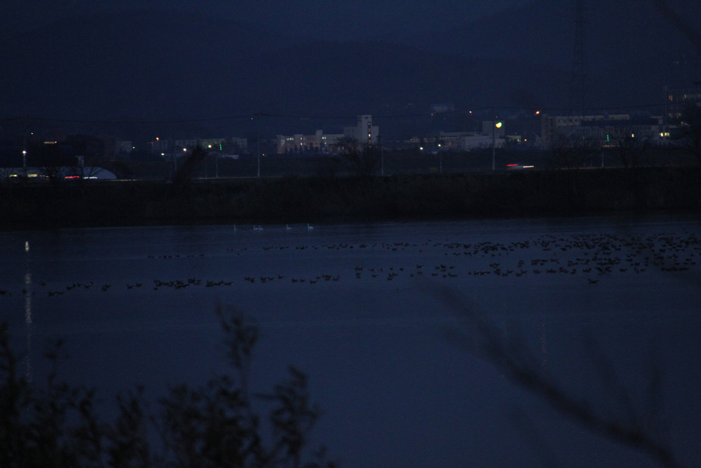 f:id:kuroandy:20151026170418j:plain f:id:kuroandy:20151026170418j:plain