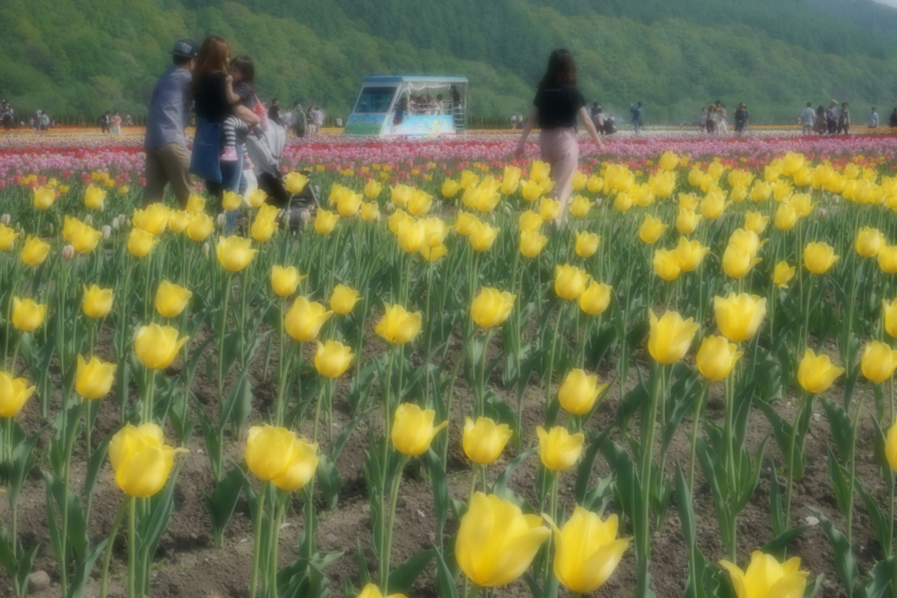 f:id:kuroandy:20170520142002j:plain f:id:kuroandy:20170520142002j:plain