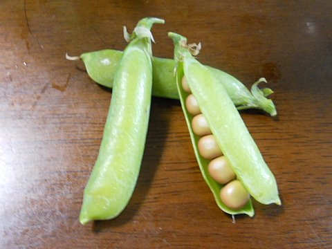 イメージ 3