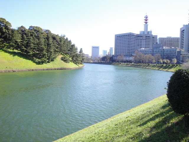 f:id:kurobekun:20210324142829j:plain