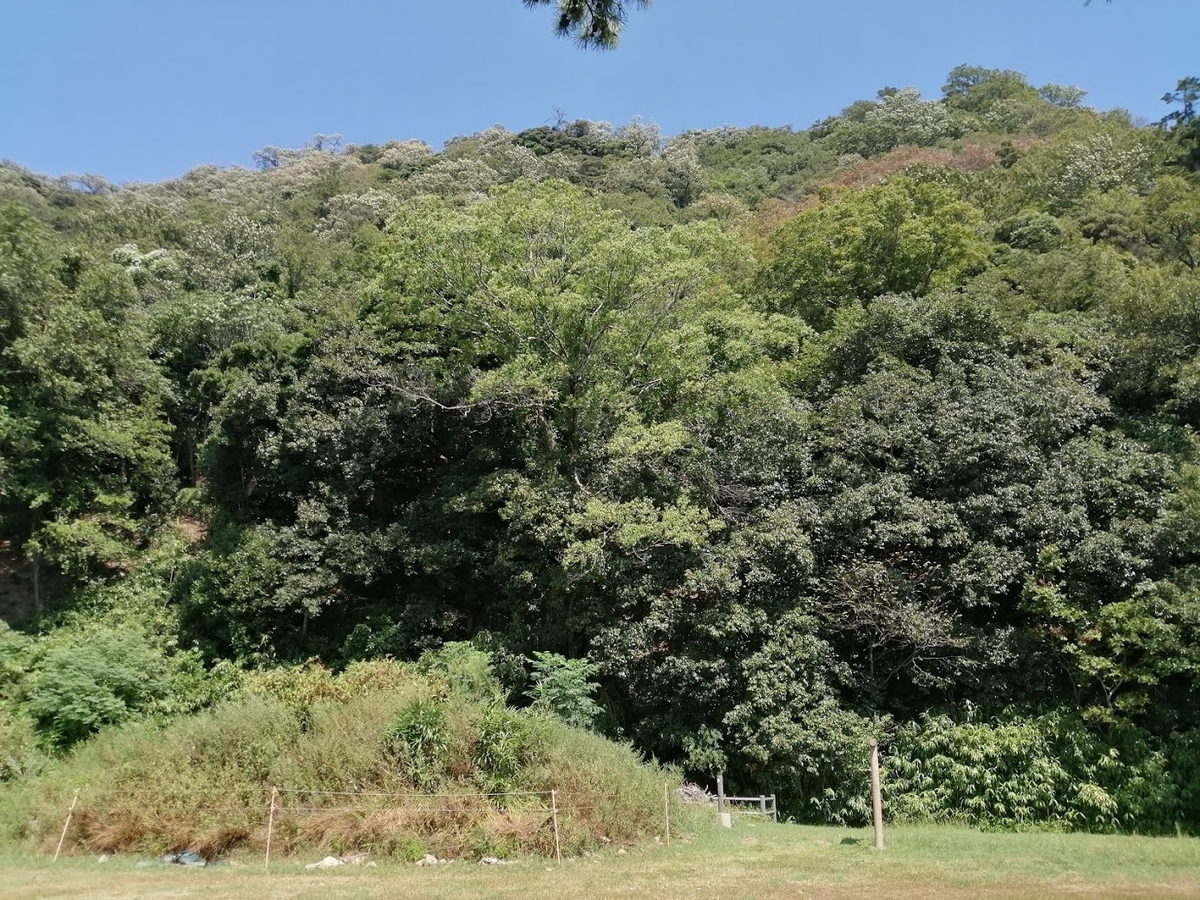 f:id:kurobuchip:20200923152816j:plain