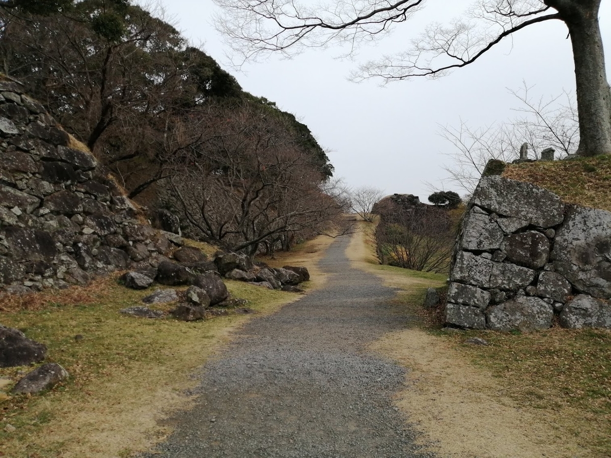 f:id:kurobuchip:20201229132724j:plain