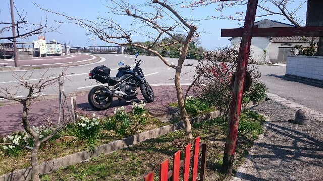 f:id:kurochan719:20180329130708j:image f:id:kurochan719:20180329130708j:image
