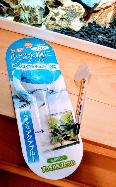 Diy モスマット作ってみた なんちゃってアクアリウム Pet Sounds 風呂愚 Diy モスマット作ってみた なんちゃってアクアリウム Pet Sounds 風呂愚