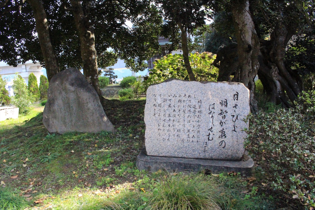 f:id:kurohirame:20201223174217j:image f:id:kurohirame:20201223174217j:image