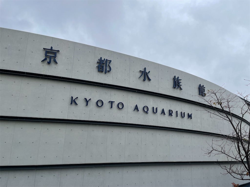 f:id:kurohirame:20211103132654j:image f:id:kurohirame:20211103132654j:image