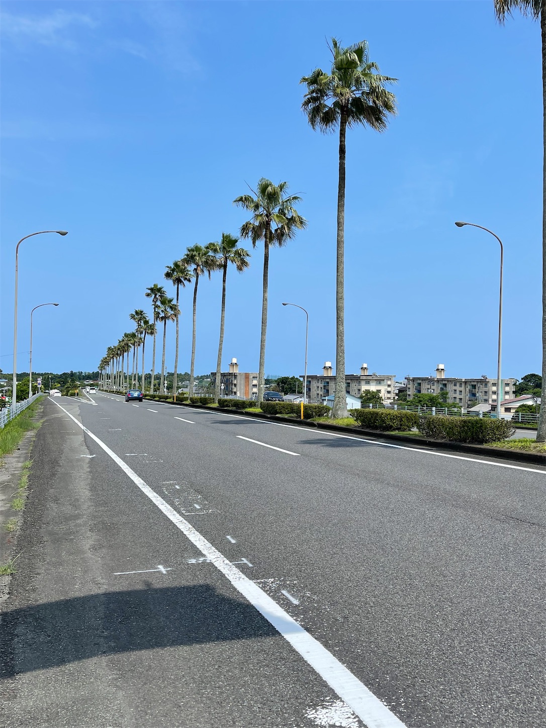 f:id:kurohyou9696:20220608190408j:image