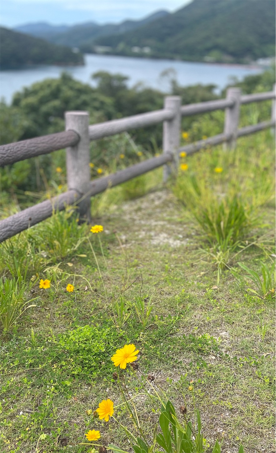 f:id:kurohyou9696:20220703141448j:image