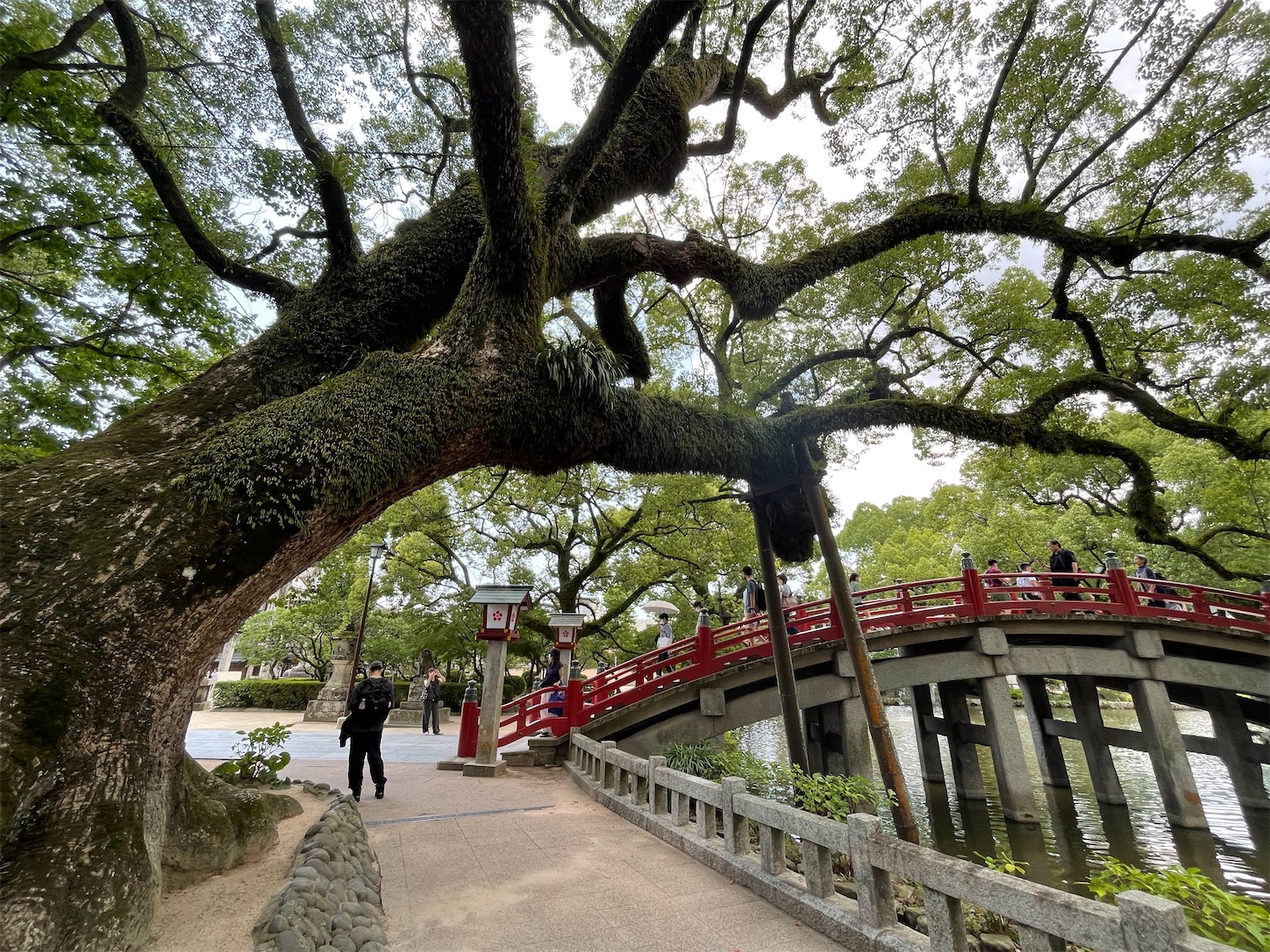 f:id:kurohyou9696:20220722151518j:image