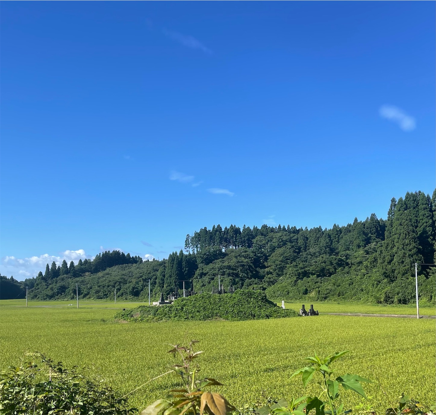 f:id:kurohyou9696:20220824202104j:image