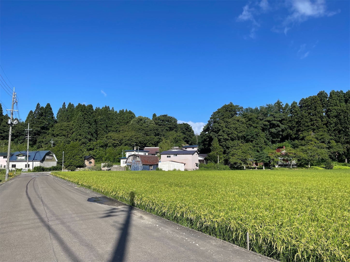 f:id:kurohyou9696:20220824202144j:image