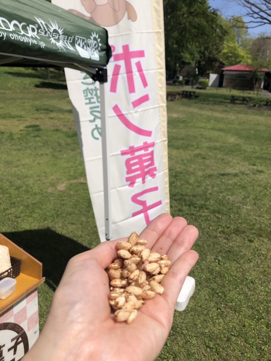 f:id:kuroiblog:20210606233031j:plain