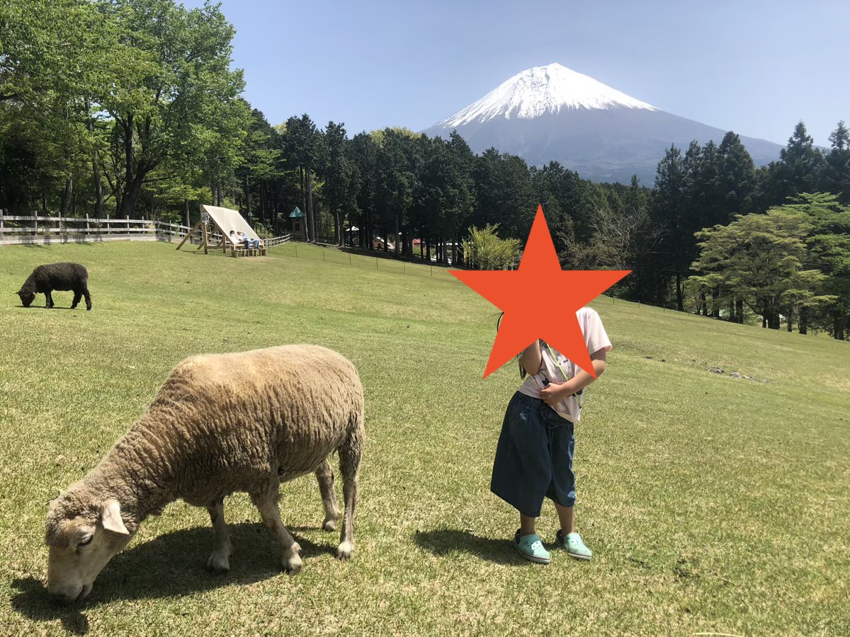 f:id:kuroiblog:20210606233758j:plain