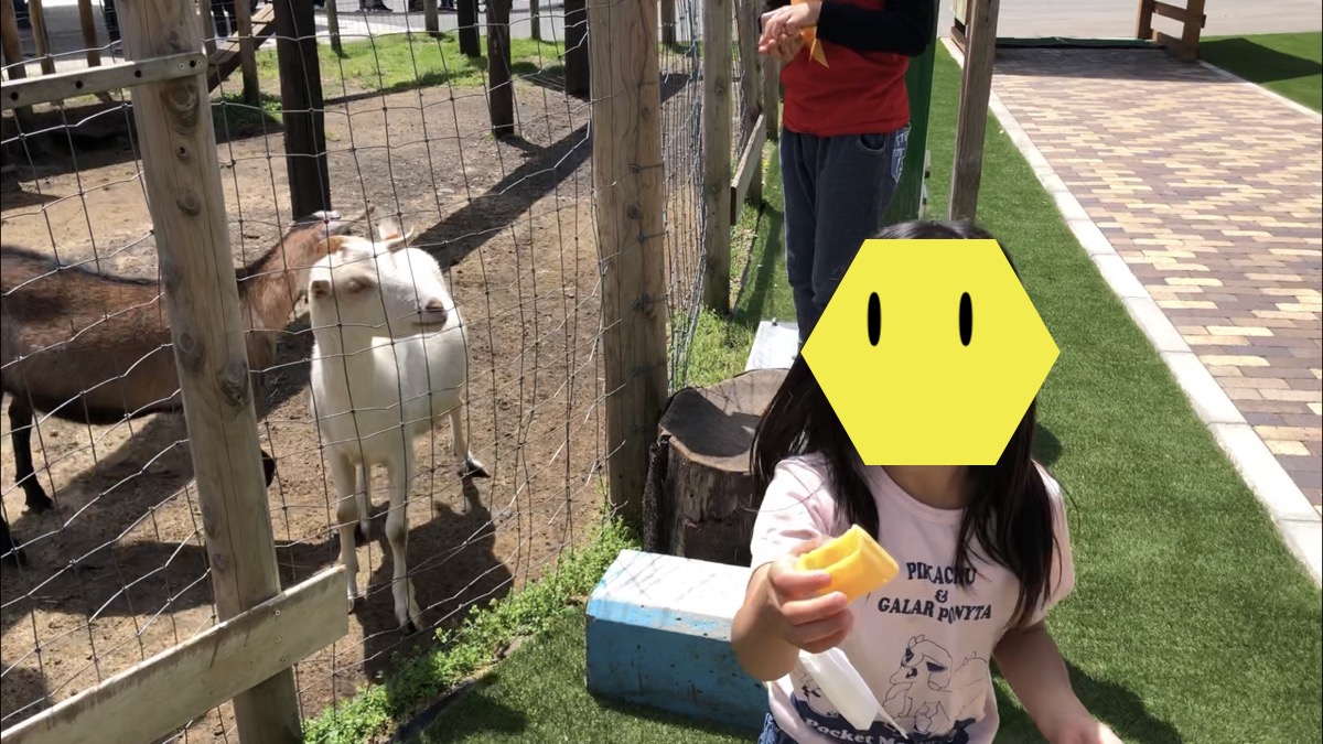 f:id:kuroiblog:20210624102624j:plain