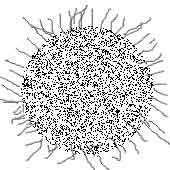 f:id:kuroihikari:20160919060020j:plain