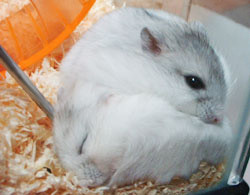 f:id:kuroihikari:20160919080249j:plain