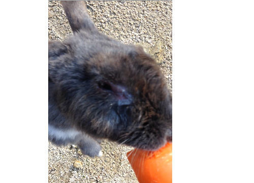 f:id:kuroihikari:20191224124136j:plain