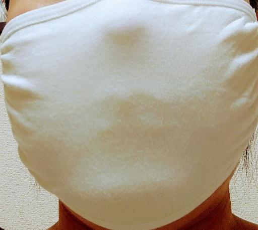 f:id:kuroinujr:20200419232958j:plain