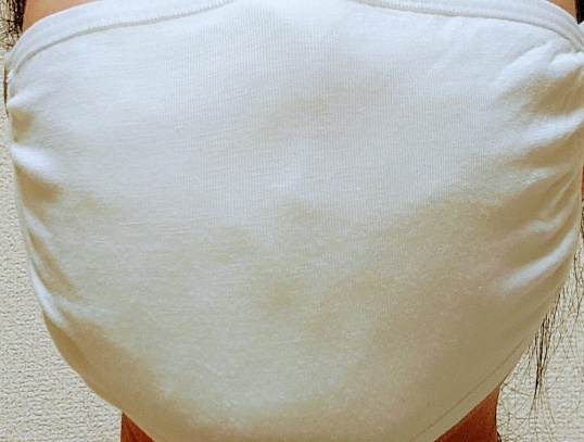 f:id:kuroinujr:20200419233007j:plain