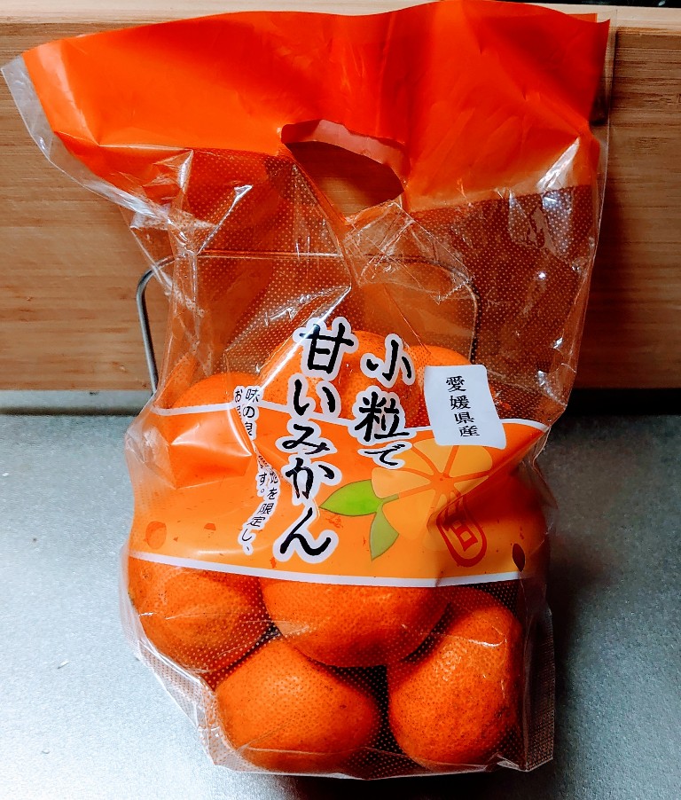f:id:kuroinujr:20210102055810j:plain