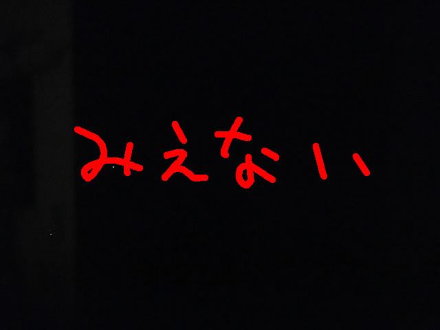 f:id:kurokawanushi:20190302133501j:plain f:id:kurokawanushi:20190302133501j:plain