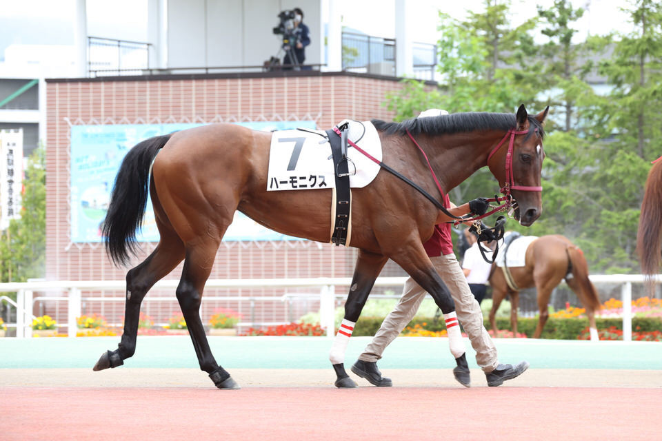 f:id:kurokiri-G1:20200813075700j:plain f:id:kurokiri-G1:20200813075700j:plain