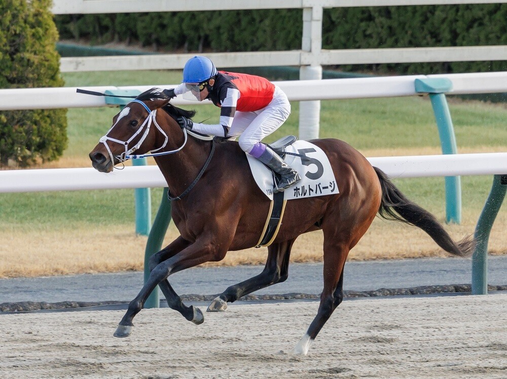 YGG出資馬ホルトバージの写真