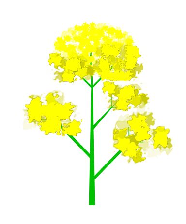 f:id:kurokishiy:20210401110954j:plain