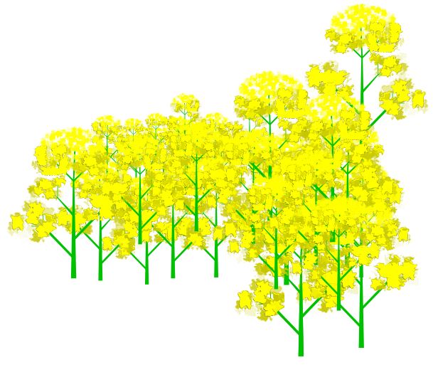 f:id:kurokishiy:20210401111026j:plain