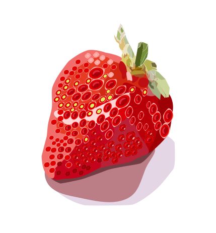 f:id:kurokishiy:20210415174535j:plain