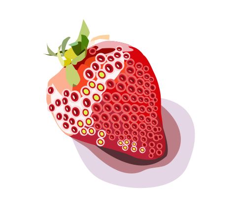 f:id:kurokishiy:20210415174551j:plain