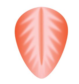 f:id:kurokishiy:20210422143640j:plain