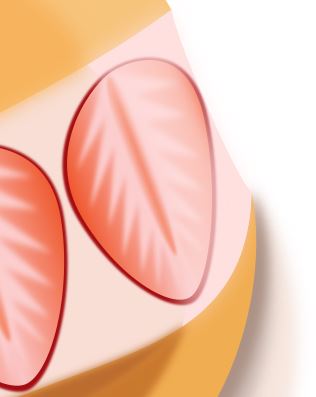 f:id:kurokishiy:20210422143920j:plain