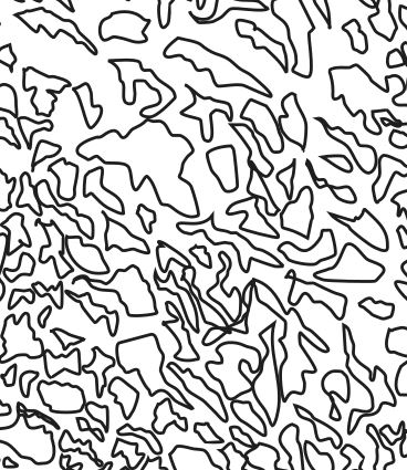 f:id:kurokishiy:20210506163050j:plain