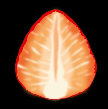 f:id:kurokishiy:20210513145959j:plain