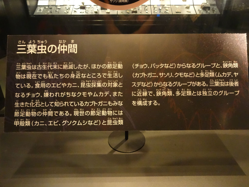 f:id:kurokitsune:20190701182649j:plain f:id:kurokitsune:20190701182649j:plain