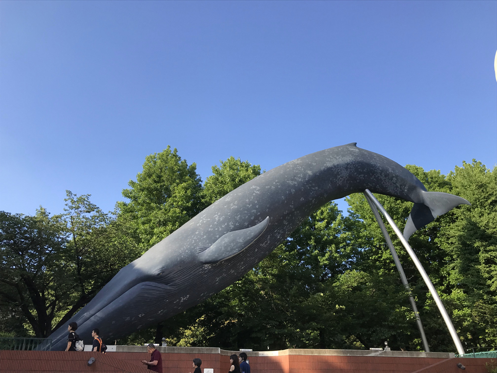f:id:kurokitsune:20190701184035j:plain f:id:kurokitsune:20190701184035j:plain