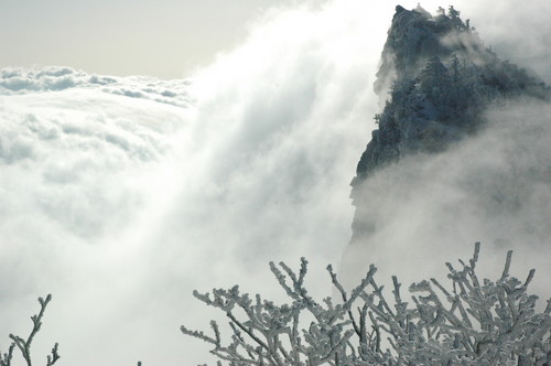 f:id:kurokoshusaru:20070204085005j:image