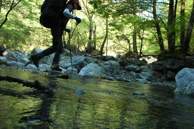 f:id:kurokoshusaru:20070513190912j:image