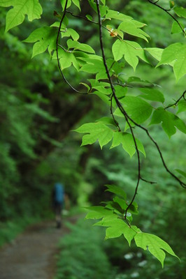 f:id:kurokoshusaru:20070618182210j:image