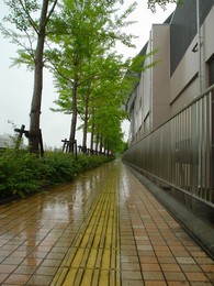 f:id:kurokoshusaru:20080524191619j:image